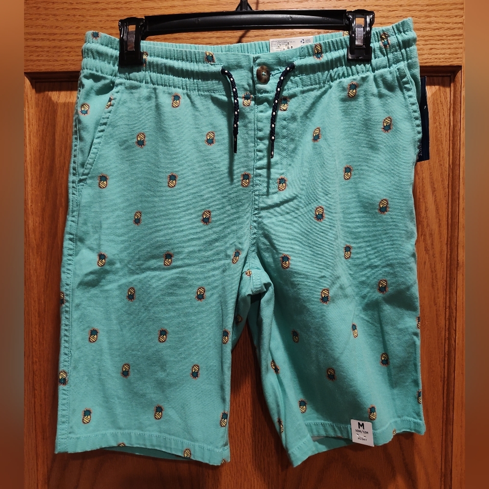 NWT Boys Arizona Green Pineapple Print Shorts with Drawstring